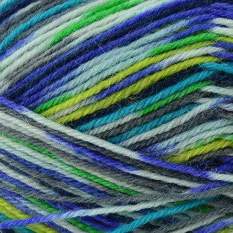 Regia #07205 Pfau Regia 4-ply Color Yarn (1 - Super Fine)