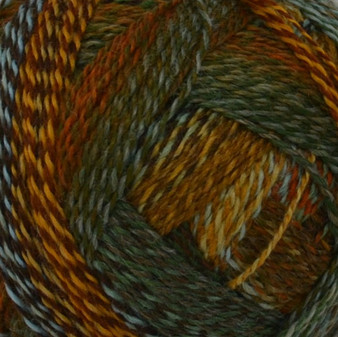 Schoppel Wolle Riverbed Zauberball Crazy Yarn (1 - Super Fine)