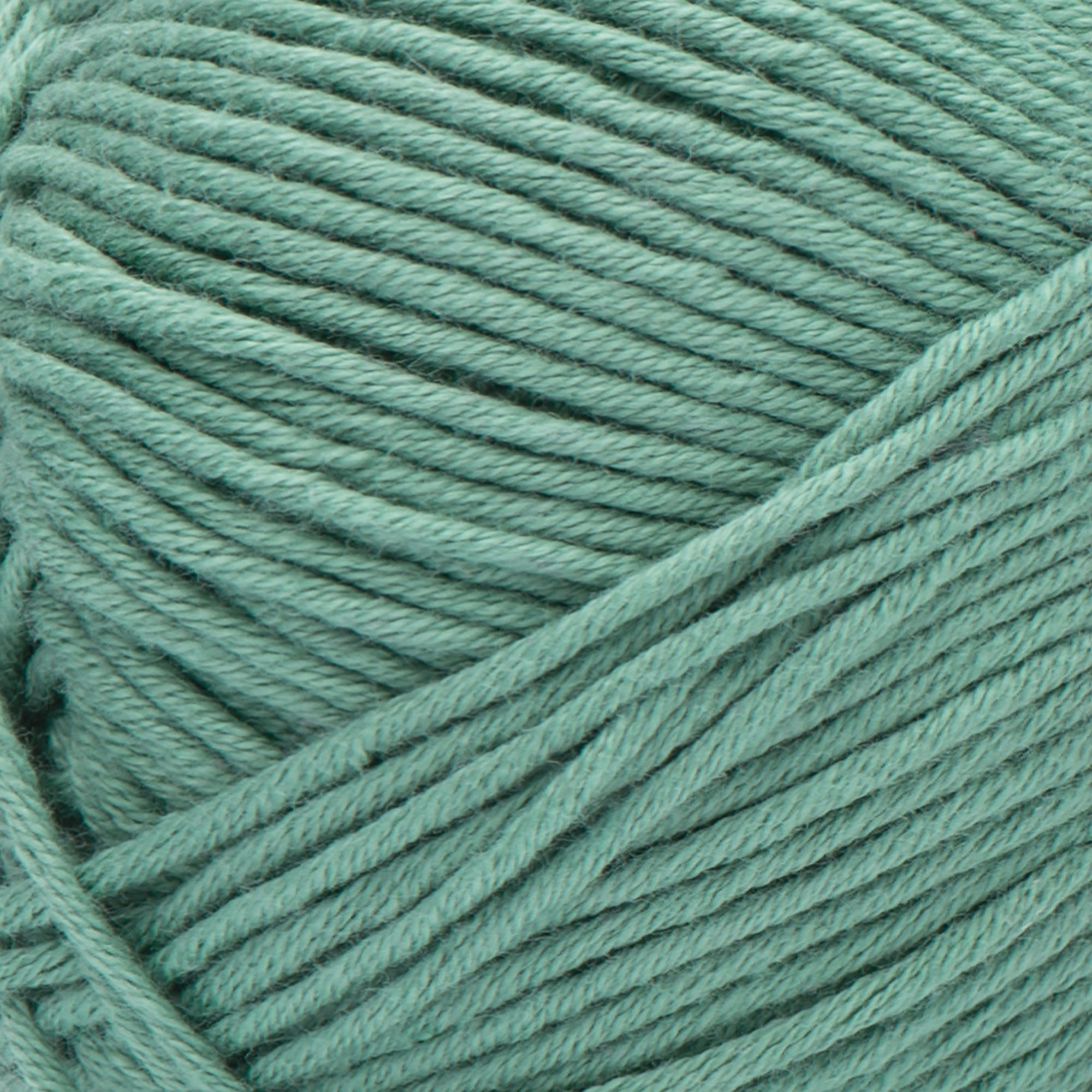 Pool Green Softee Cotton Yarn (3 - Light) by Bernat