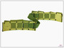 U.S. M1923 M1 Garand Cartridge Belt - 1945