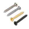 Oval head Mount Screw / WO5.0×45