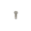 Hex Button Head Pole Screw / INVD 5x15.0