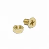Lespaul  Custom Pickguard Bracket Screw & Nut Set