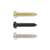 Flat Head Mount Ring Screw / WF#2×14.3