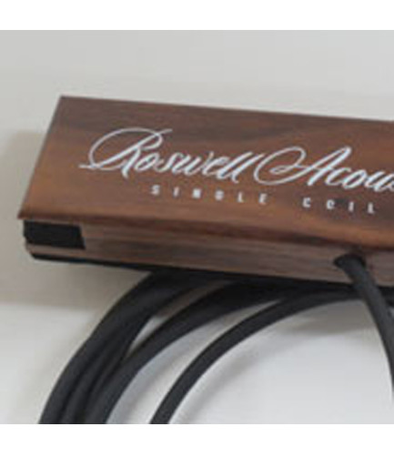 Acoustic Sound Hole Pickups