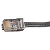 Black Box GigaTrue Cat 6 Channel UTP Patch Cable - 3 ft Category 6 Network Cable - First End 1 x RJ-45 Male - Second End 1 x RJ-45 EVNSL647-0003