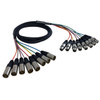 3ft Premium  XLR Male to XLR Female Balanced Analog 8-Channel Snake Cable FN-S8-XLRMF-03