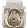 Tripp Lite BNC All-in-One KeystonePanel Mount Coupler FF 75 Ohms - 1 x BNC Female AudioVideo - 1 x BNC Female AudioVideo - - - A230-001-KP