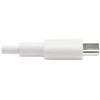 Tripp Lite USB-C to Lightning Cable MM White 3 ft 09 m - 3 ft LightningUSB Data Transfer Cable for iPhone iPad iPod Wall M102-003-WH Tripp Lite USB-C to Lightning Cable MM White 3 ft 09 m - 3 ft LightningUSB Data Transfer Cable for iPhone iPad iPod Wall M102-003-WH