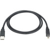 Black Box USB 20 Cable - Type A Male to Type B Male Black 10-ft 30-m - 10 ft USB Data Transfer Cable - First End 1 x Type A - USB05-0010