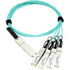 Axiom Fiber Optic Network Cable - 33 ft Fiber Optic Network Cable for Router Switch Network Device - First End 1 x QSFP28 Network Q284XS28A1M-AX