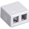 Black Box Value Line Surface-Mount Housing 2-Port White - 2 x Sockets - Surface Mount - White SMH-2