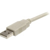 StarTechcom_6_ft_USB_20_Extension_Cable_A_to_A_-_MF_-_USB_-_6_ft_-_1_Pack_-_1_x_Type_A_Male_-_1_x_Type_A_Female_USBEXTAA_6