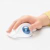 Logitech ERGO M575 Wireless Trackball - Optical - Bluetooth - 240 GHz - Off White - USB - 2000 dpi - Scroll Wheel - 5 Buttons 910-005868