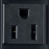 Tripp Lite PDUV15-48 16-Outlets PDU - Basic - NEMA 5-15P - 16 x NEMA 5-15R - 120 V AC - 0U - Vertical PDUV15-48