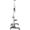 StarTechcom Mobile TV Stand Heavy Duty Universal TV Cart for 60-100 inch Display 100kg220lb Height Adjustable Rolling TV Floor - STNDMTV100