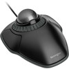 Kensington Orbit Trackball with Scroll Ring - Space Gray Ball - Optical - Cable - Space Gray - USB - Scroll Ring - 2 Buttons - K75327WW