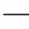 APC_Basic_Rack_2400VA_PDU_-_14_x_NEMA_5-15R_-_2400VA_-_Zero_U_Rack-mountable_AP9551