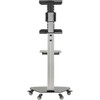 Tripp Lite DMCS3770SG75 Premier Rolling TV Cart - 7938 kg Capacity - 3 7620 mm Caster Size - Glass Steel - 315 Width x 19 x - DMCS3770SG75