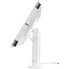Compulocks Space Desk Mount for iPad Pro - White - 129 Screen Support TCDP04W299PSENW