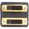 StarTechcom_1ft_DVI_Splitter_Cable_-_M__F_-_DVI-D_to_2x_DVI-D_Dual_Video_Splitter_for_Your_Split_Screen_Computer_Monitor_DVISPL1DD_DVISPL1DD