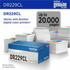 Brother DR229CL Drum Unit - Laser Print Technology - 20000 Pages - 1 Each DR229CL