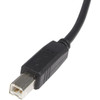 StarTechcom_High_Speed_Certified_USB_20_-_USB_cable_-_4_pin_USB_Type_A_M_-_4_pin_USB_Type_B_M_-_3ft__USB__Hi-Speed_USB__-_A_-_USB2HAB3