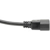 Tripp Lite by Eaton P004-L01 Power Extension Cord - For Computer Server Printer Monitor PDU UPS PC - Black - 1 ft Cord Length - P004-L01