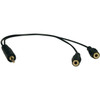 Tripp Lite 1ft Mini Stereo Dubbing Cable Y 35mm M to 2xF - 1 ft Mini-phone Audio Cable for Headphone - First End 1 x Mini-phone - - P313-001