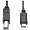 Tripp Lite by Eaton USB Type-B Male to USB-C Hi-speed Cable - 6 ft USB Data Transfer Cable - First End 1 x USB 20 Type B - Male - 1 U040-006