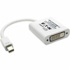 Tripp Lite 6in Mini DisplayPort to DVI Adapter Active Converter mDP to DVI MF DPort 12 6 - 6 DisplayPortDVI AV Cable for - First P137-06N-DVI-V2