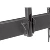 Manhattan Ceiling Mount for Flat Panel Display - Black - Height Adjustable - 32 to 60 Screen Support - 7983 kg Load Capacity - 700 423625
