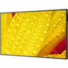 Sharp 43" Ultra High Definition Professional Display - 43" LCD - In-plane Switching (IPS) Technology - High Dynamic Range (HDR) - 24 - (Fleet Network)