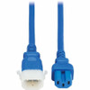 Tripp Lite series P018-E06-ABL-6 Power Extension Cord - For PDU, Computer, Monitor, HDTV, Printer, Server, UPS, Network Device, Rack, (P018-E06-ABL-6)