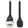 Tripp Lite series P005-E10 Power Extension Cord - For PDU, Computer, Monitor, HDTV, Printer, Server, UPS, Network Device, Switch, Rack (P005-E10)