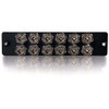 C2G 12-Strand, ST, PB Insert Multimode/Single-Mode Adapter Panel (TAA Compliant) - 12 x ST - 12 Port(s) - 12 x RJ-11 - 12 x (31100)