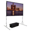 Da-Lite Fast-Fold Deluxe 114.3" Projection Screen - Rear Projection - 16:10 - Dual Vision - 62" (1574.80 mm) Height x 96" (2438.40 mm) (Fleet Network)
