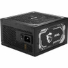 MSI MAG 1250W Power Supply - Internal - 120 V AC, 230 V AC Input - 5 V DC, 3.3 V DC, 12 V DC, -12 V DC, 5 V SB Output - 1.25 kW - PFC (MAGA1250GLPCIE5)