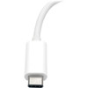 Tripp_Lite_U444-06N-DU-C_USB_31_Gen_1_USB-C_to_DVI_Adapter_-_Type_C_-_1_x_DVI_DVI_U444-06N-DU-C