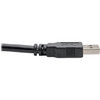 Tripp_Lite_USB_30_SuperSpeed_AA_Cable_MM_Black_6_ft_-_6_ft_USB_Data_Transfer_Cable_for_Notebook_Tablet_Chromebook_-_First_1_x_U320-006-BK