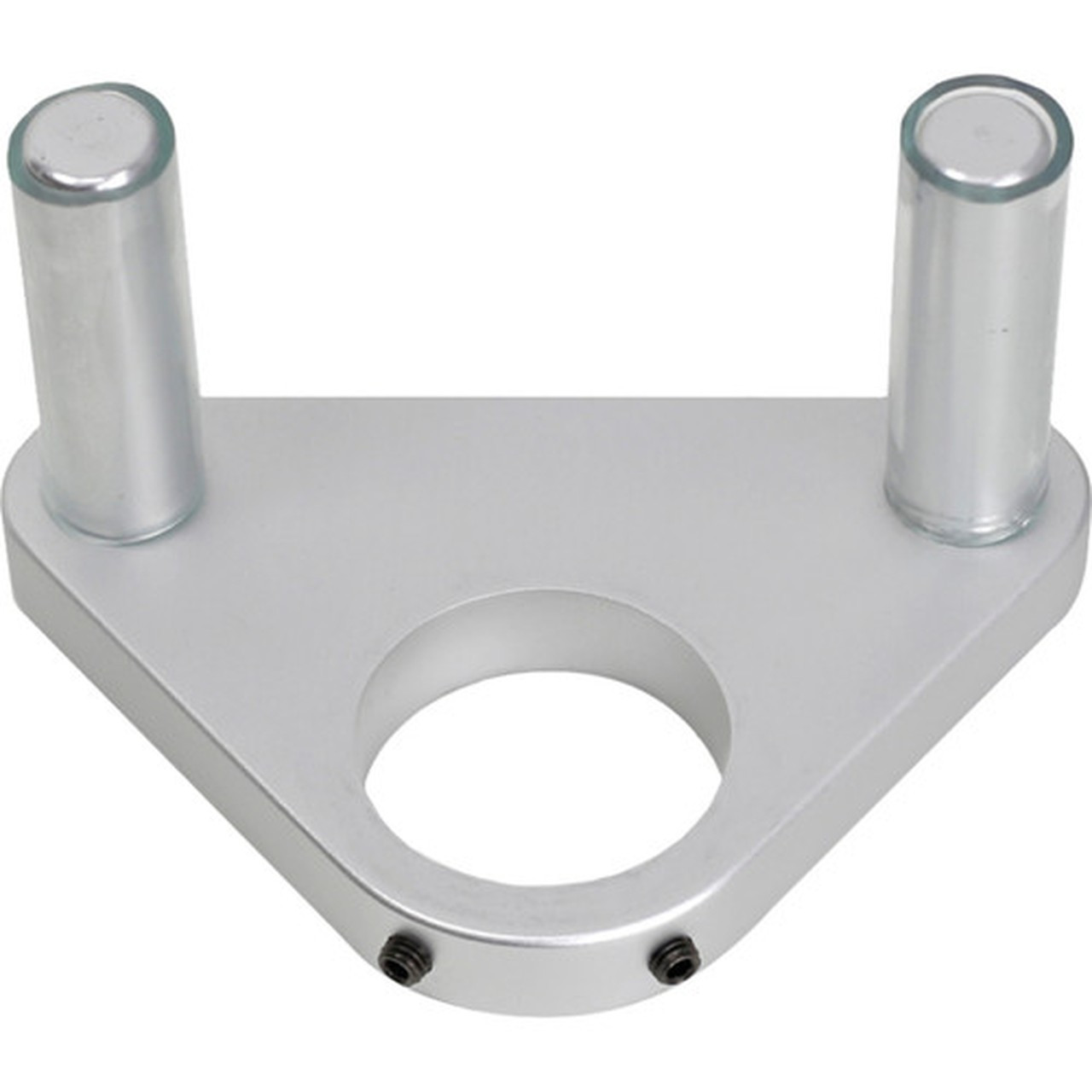 Ergotron Mounting Adapter for Mounting Arm - Anodized Silver - Anodized Silver 98-060-003
