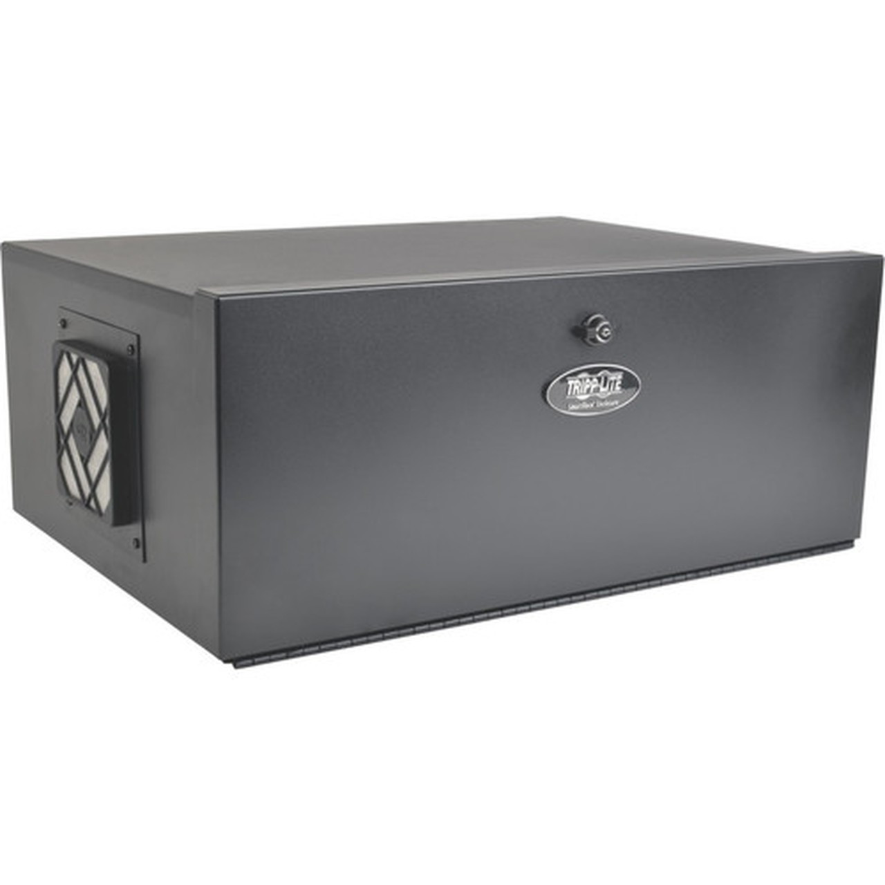 Tripp Lite 5U Security DVR Lockbox Enclosure - For DVR - 5U Rack Height1625 41275 mm Rack Depth - Rack-mountable Floor Standing SRDVRLB