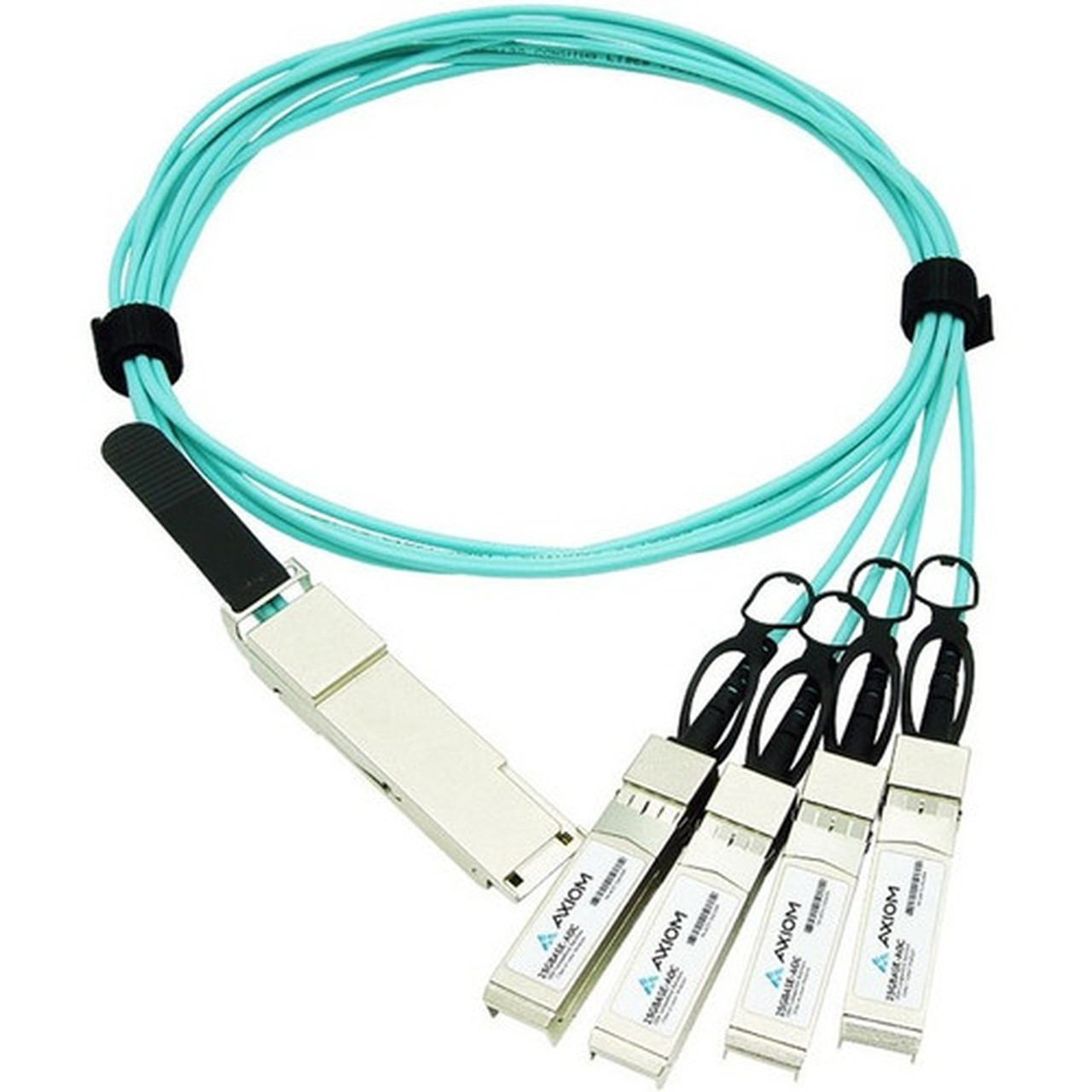 Axiom Fiber Optic Network Cable - 33 ft Fiber Optic Network Cable for Router Switch Network Device - First End 1 x QSFP28 Network Q284XS28A1M-AX