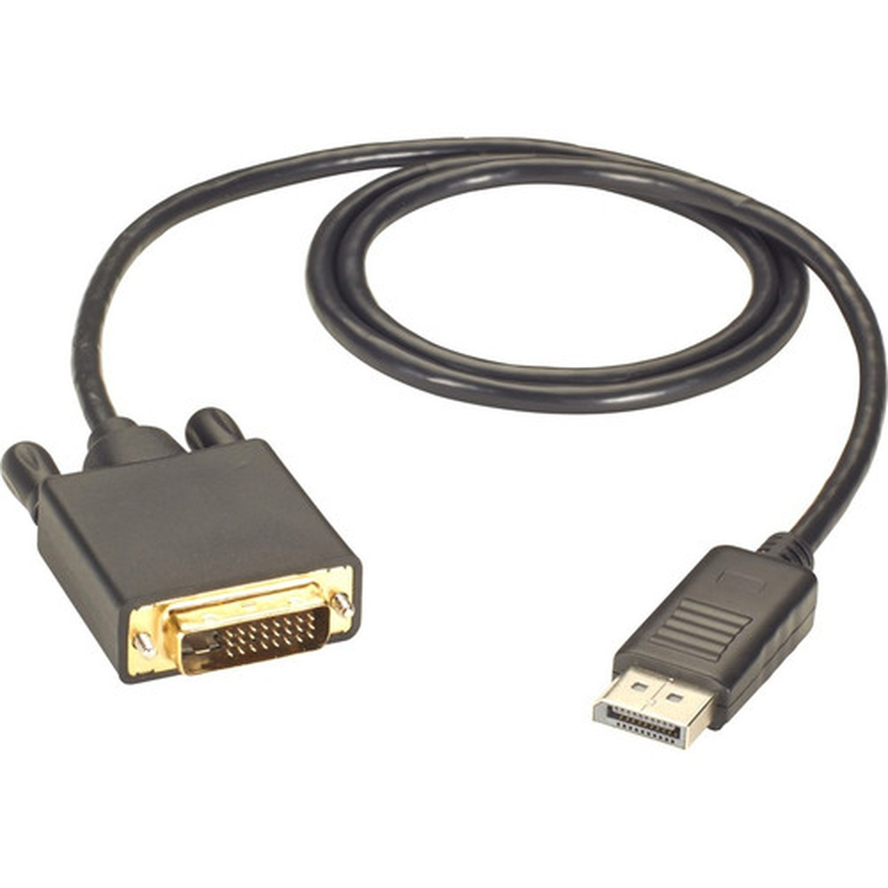 Black Box DisplayPort to DVI Cable - MaleMale 10-ft - 10 ft DisplayPortDVI Video Cable for Monitor Projector MAC PC Digital - EVNDPDVI-0010-MM