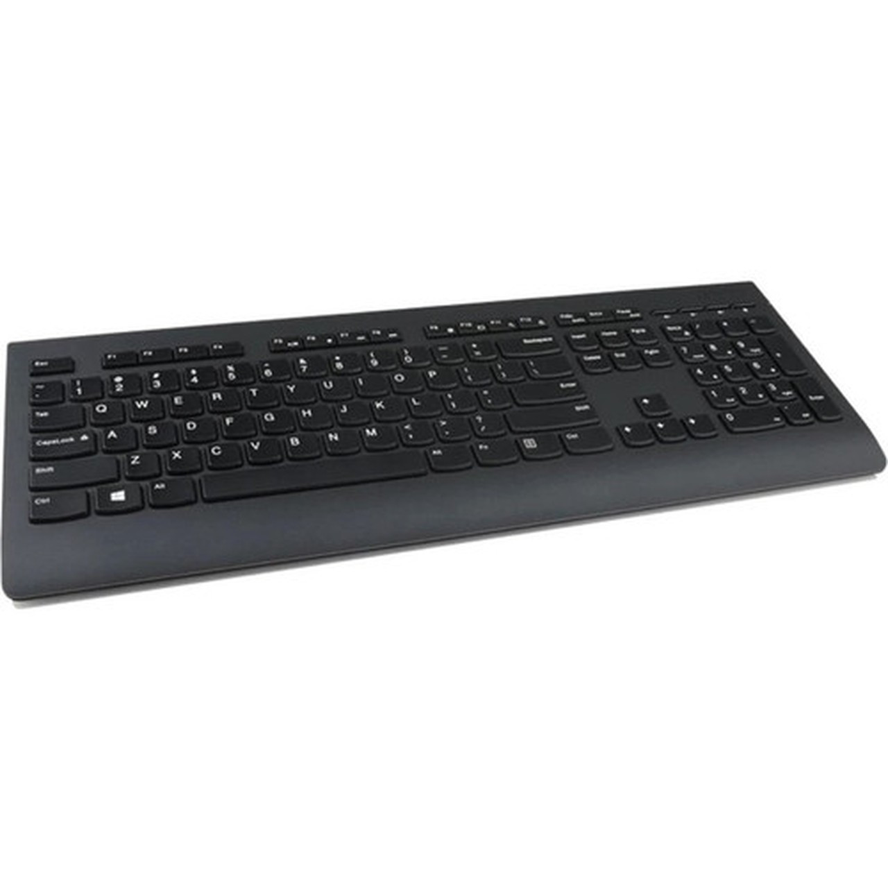 Lenovo Professional Wireless Keyboard - French Canadian - Wireless Connectivity - RF - 240 GHz - USB Interface Multimedia Hot Keys 4X30H56853
