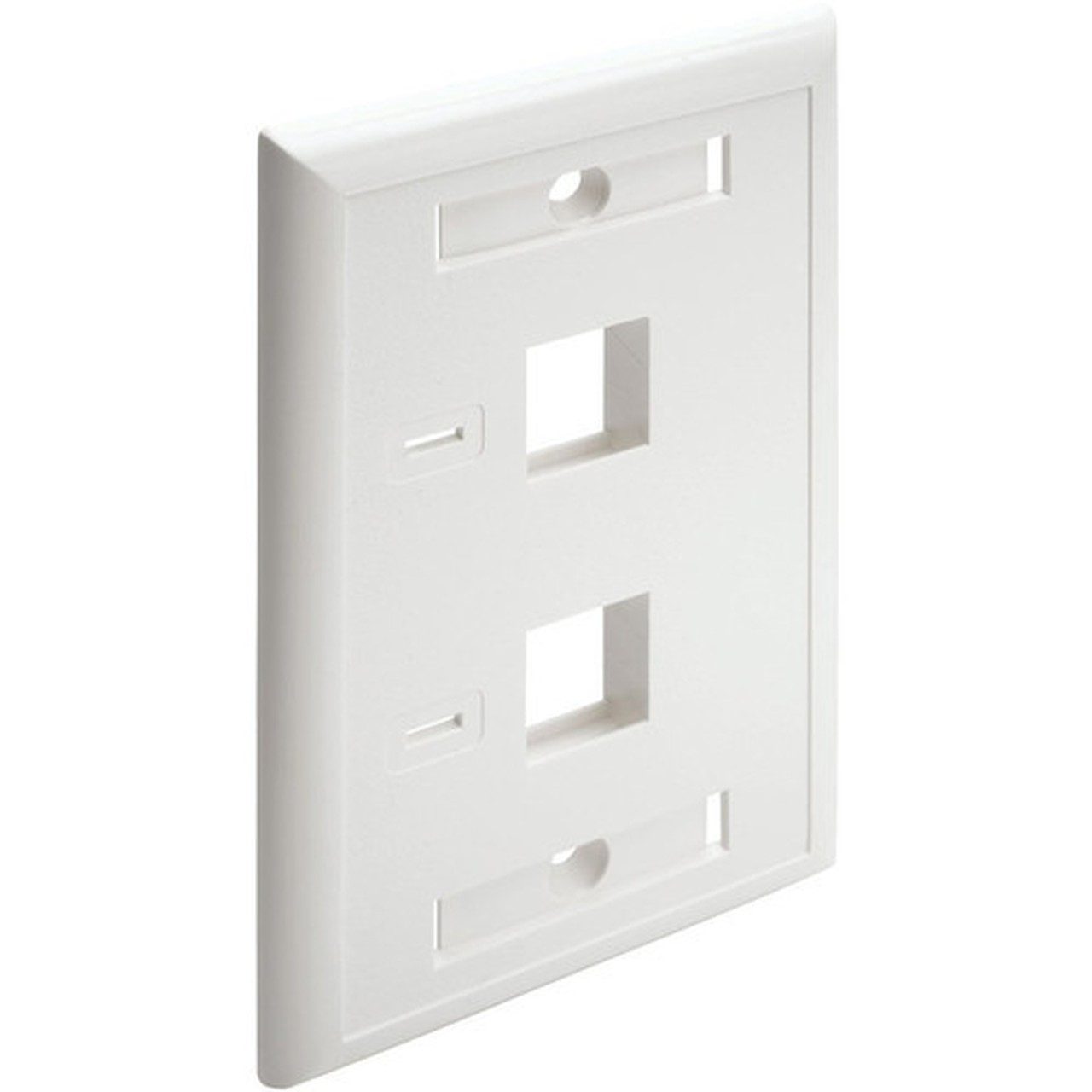 Tripp_Lite_N042-001-WH_2-Socket_Faceplate_-_2_x_Sockets_-_1-gang_-_White_N042-001-WH