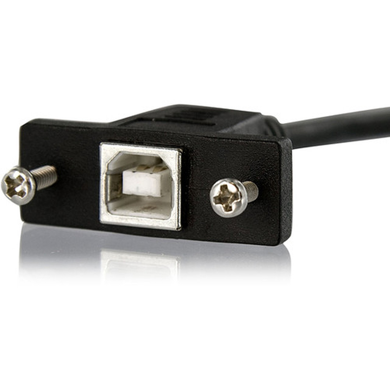 StarTechcom_1_ft_Panel_Mount_USB_Cable_B_to_B_-_FM_-_Type_B_Male_USB_-_Type_B_Female_USB_-_1ft_-_Black_USBPNLBFBM1