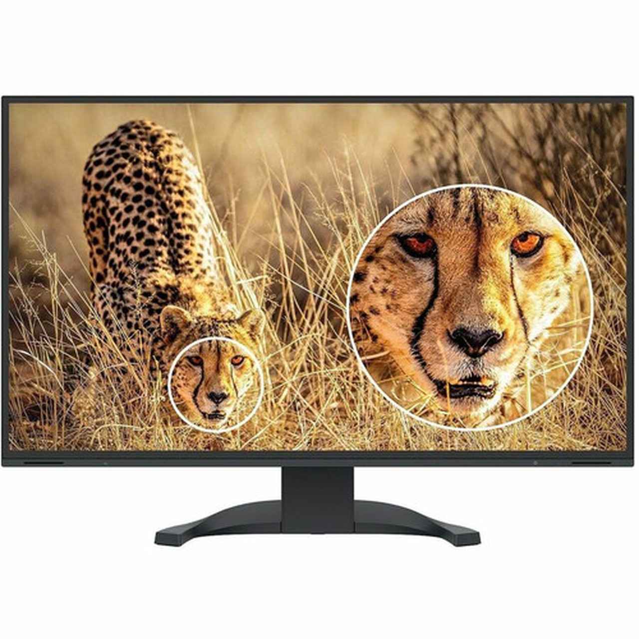 EIZO FlexScan EV2740X-BK 27 Class 4K UHD LED Monitor - 169 - Black - 27 Viewable - In-plane Switching IPS Technology - LED - 3840 EV2740X-BK