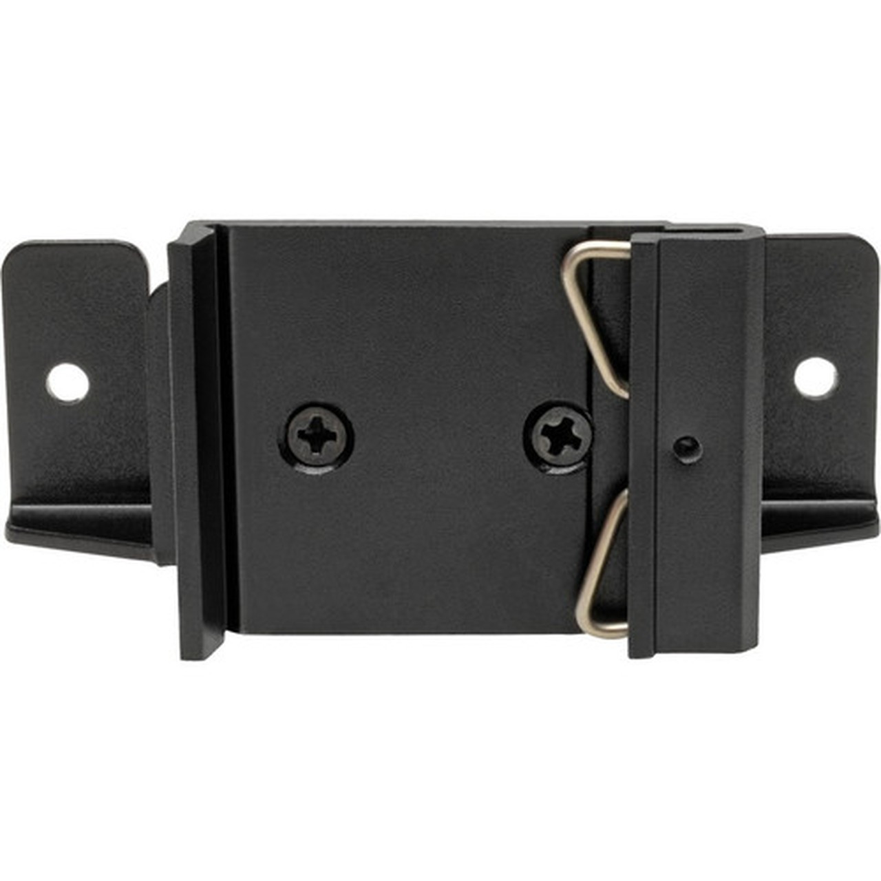 Tripp Lite by Eaton B110-DIN-02 Mounting Bracket for Digital Signage Display - Black - Black B110-DIN-02