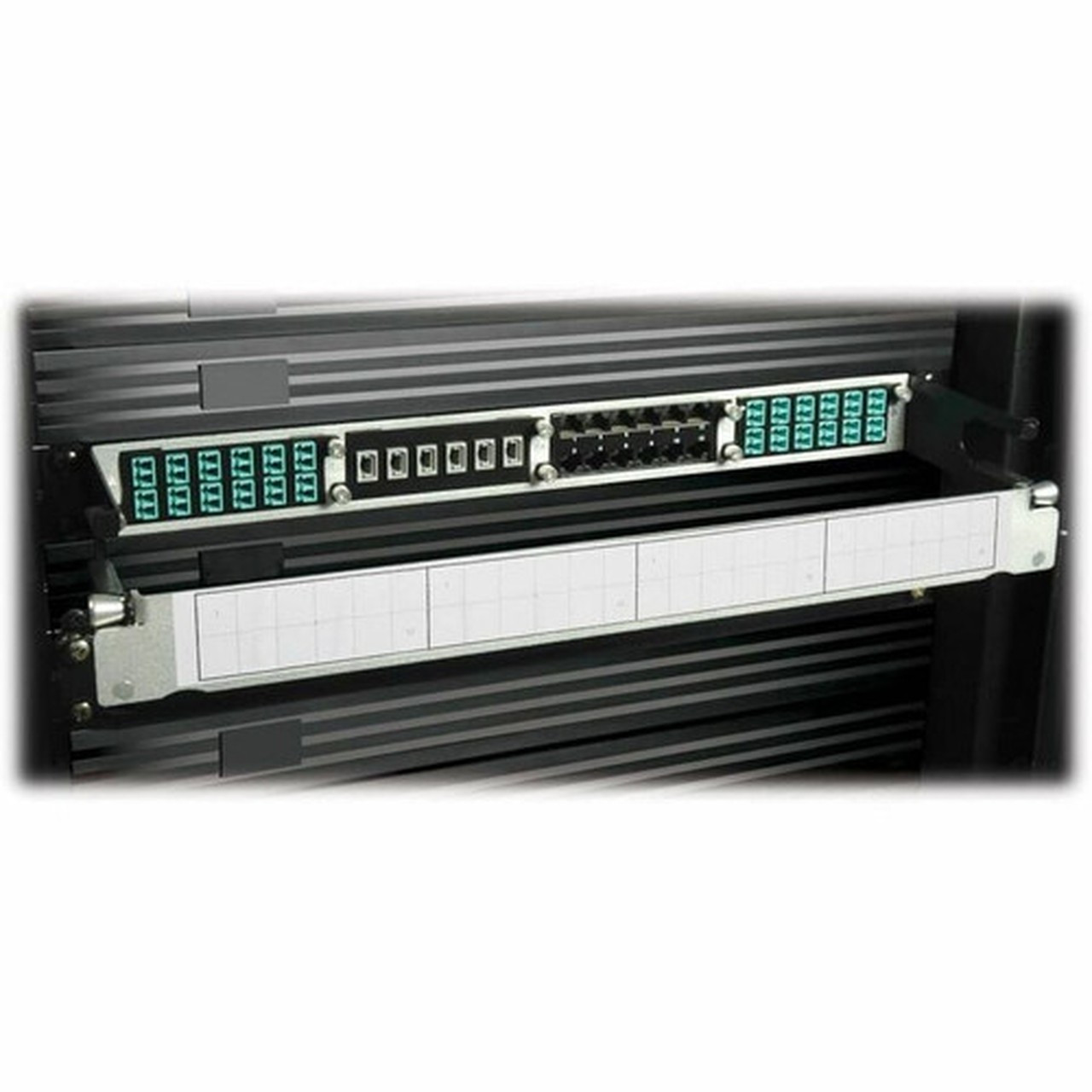 Tripp Lite 10GbE High Density Pass-Through Cassette 12 LC Duplex Connection - 24 x LC Duplex - 24 Ports - 24 x RJ-11 - 24 x Duplex - N484-12LC